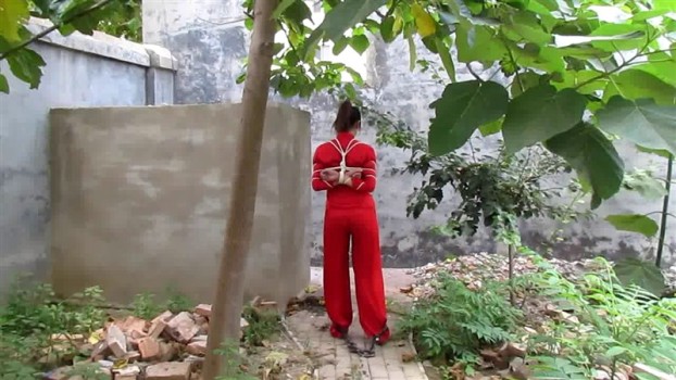 MJ影视 古装红罪衣短片3部3