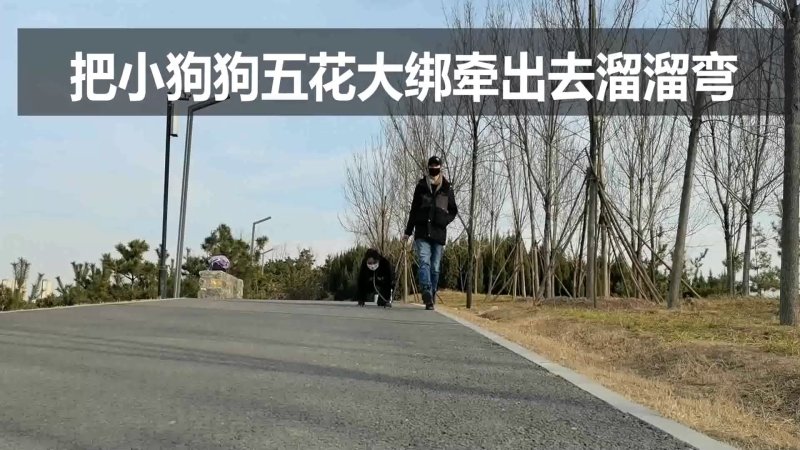 一绳所爱 把小狗狗五花大绑牵出去溜溜弯