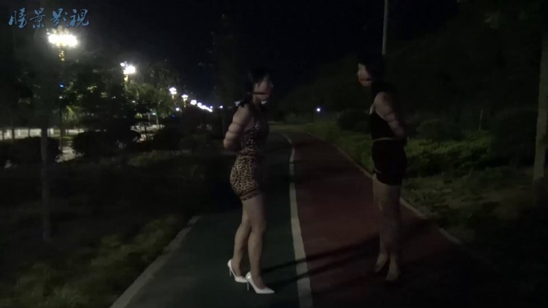 胜景影视 夜景马路梱梆女M玩耍