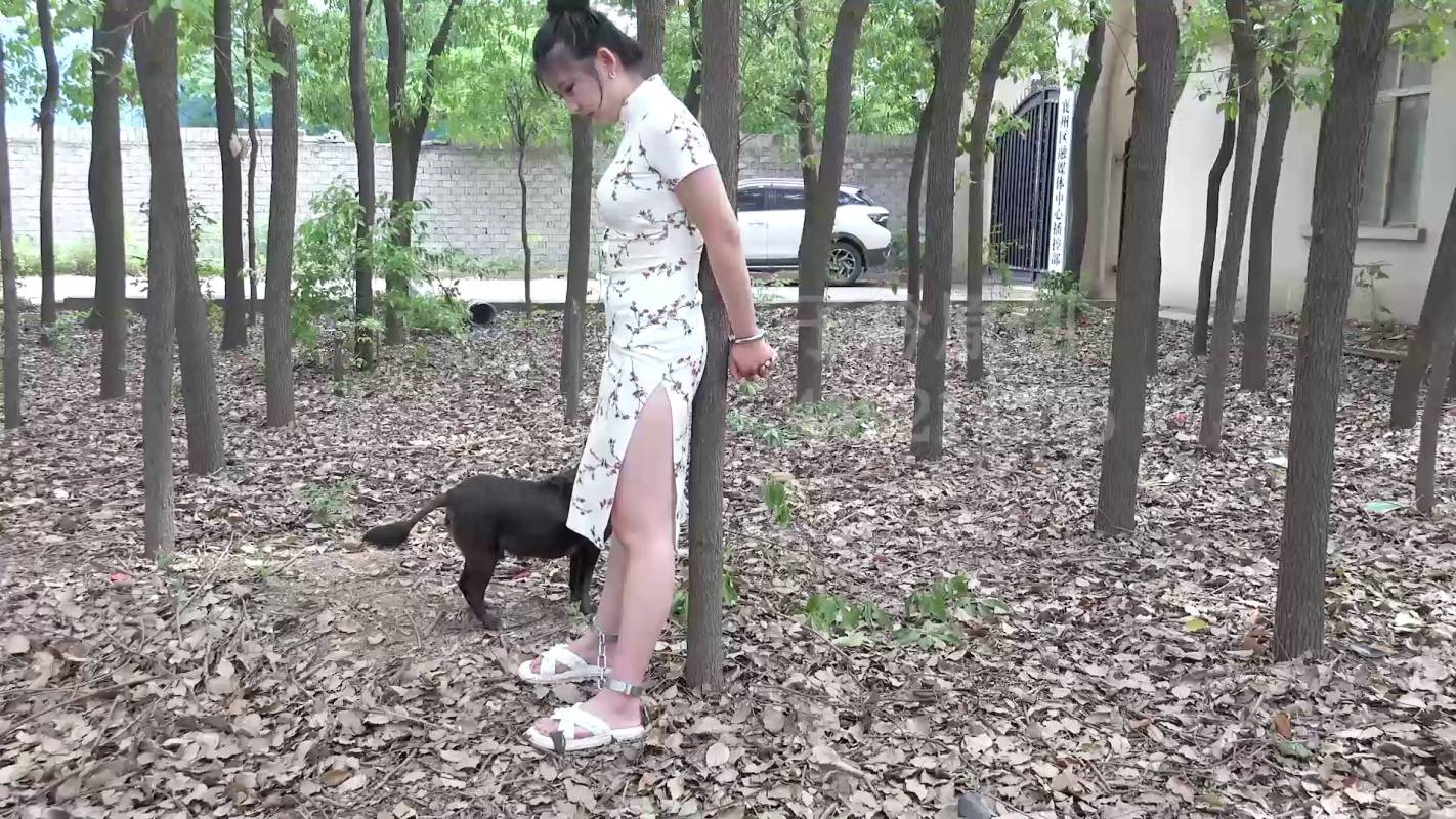 子衿原创官网新作之抓捕铐问特工小雅！在线看！