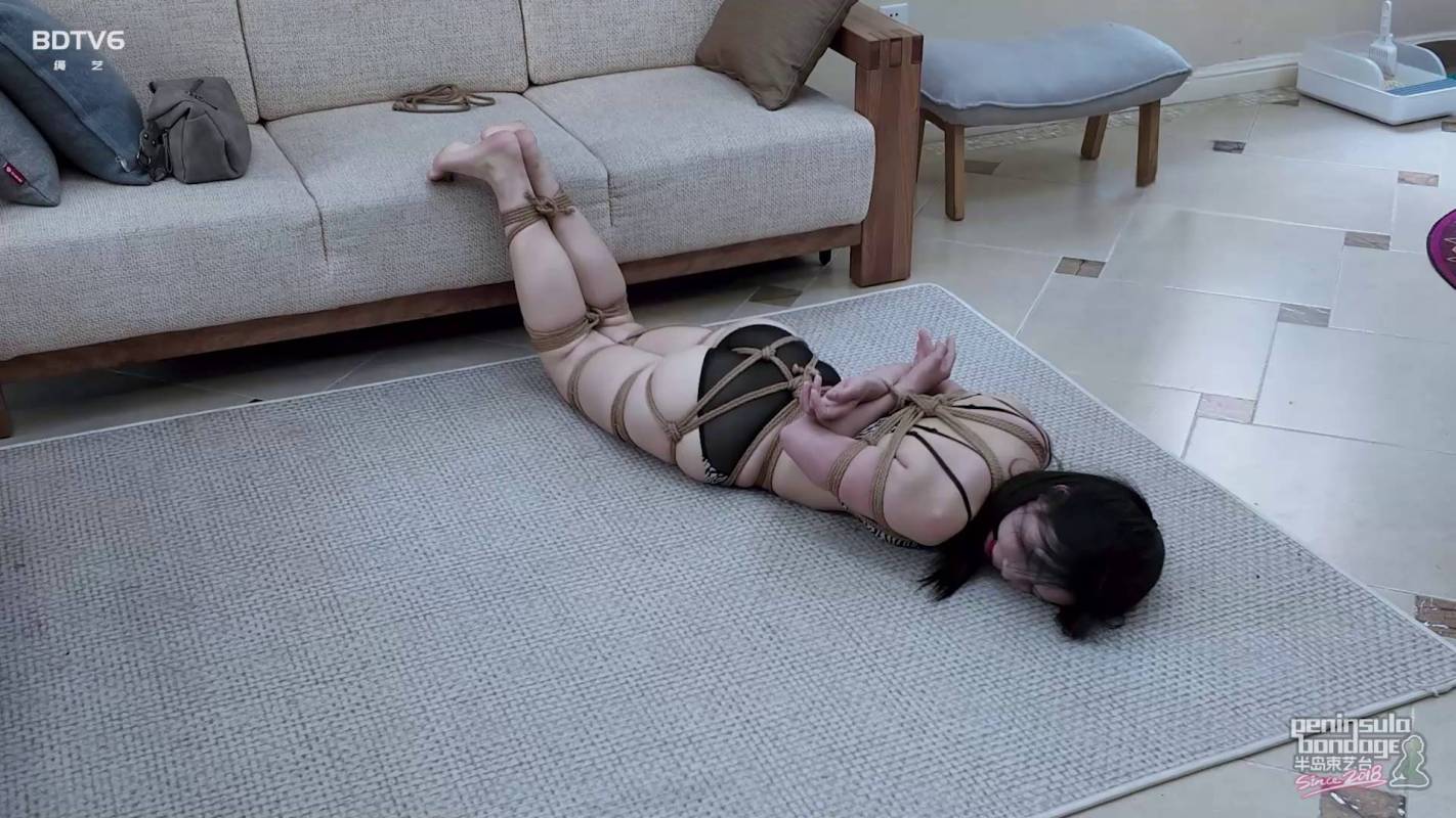 半岛束艺最近视频新作之猫和籹朲的故事~海语缇娜！在线看！