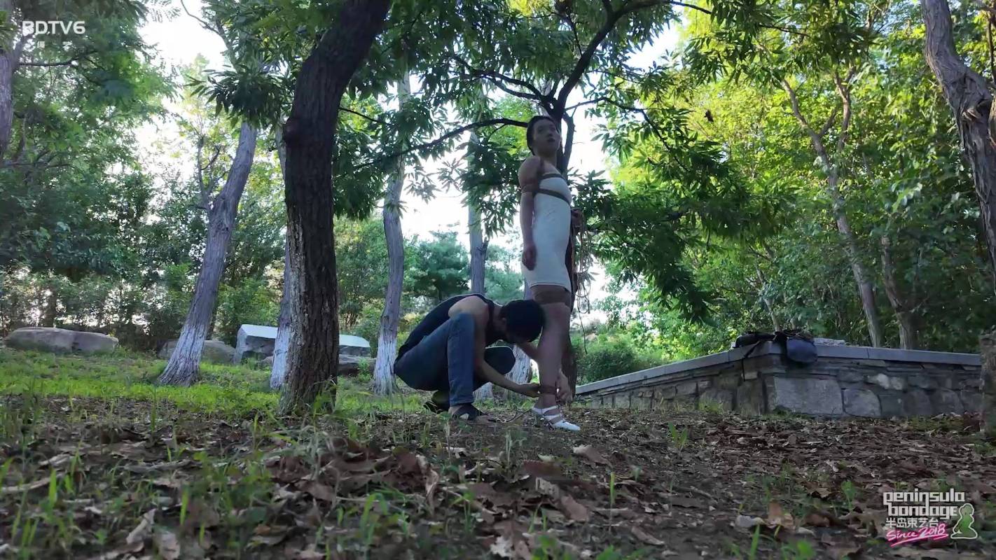 半岛束艺台蓉城大院新作之一路社si~海语！在线看！