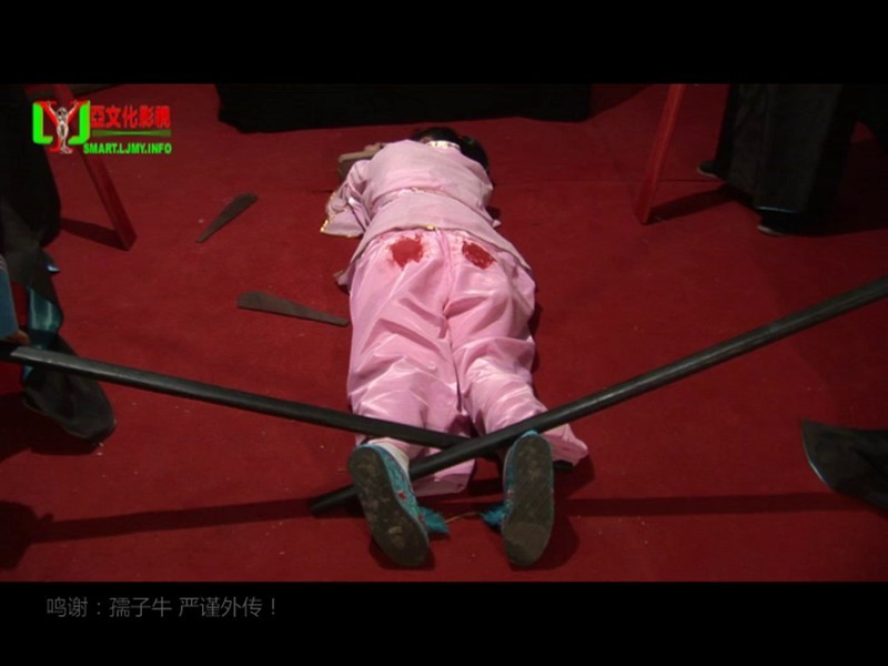 丽佳美亚工作室新作之视频合集丽佳美亚巧断莎夫案木驴！在线看！