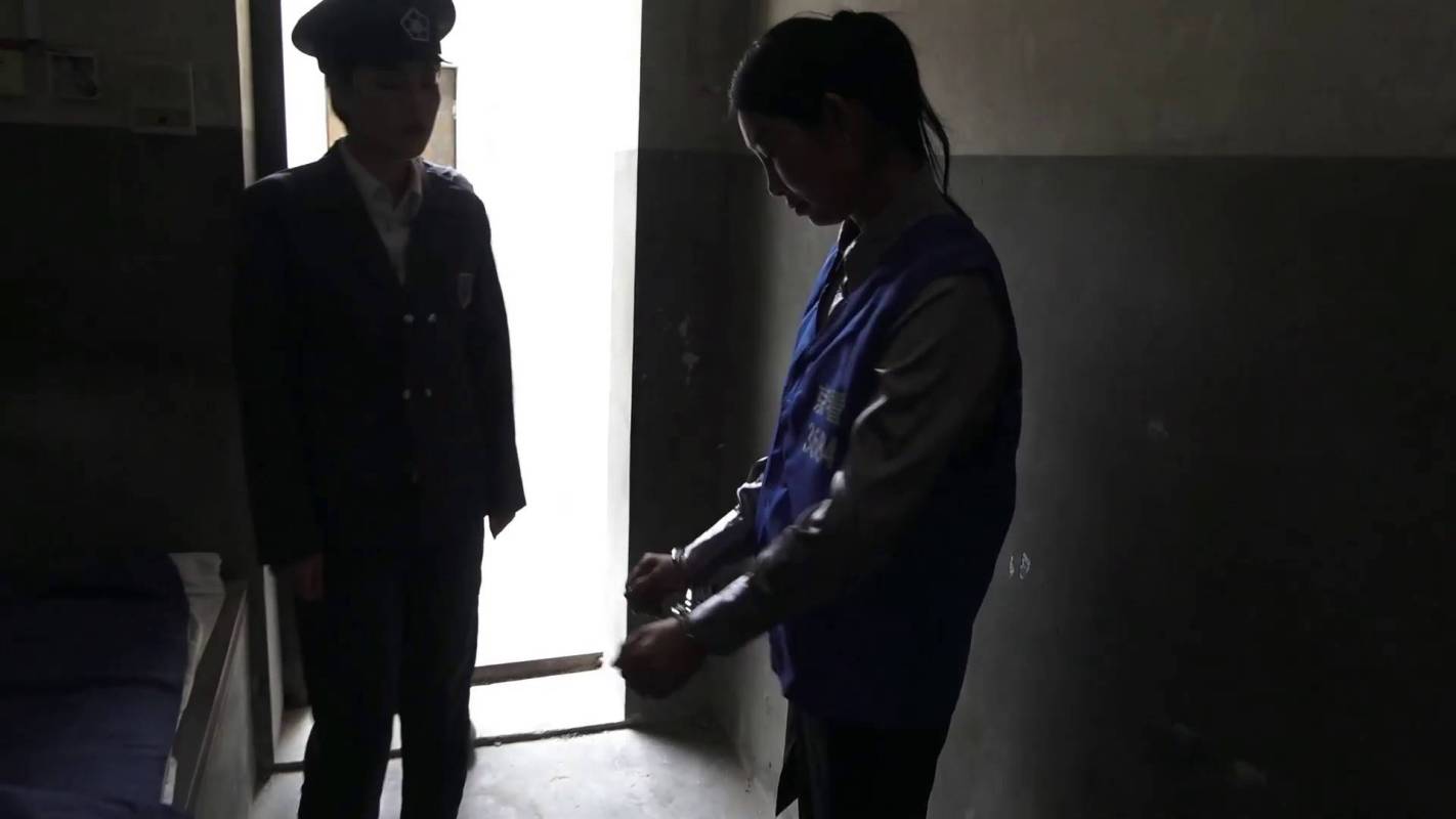 梨花雨影视工作室网站新作之奈何花落去！在线看！