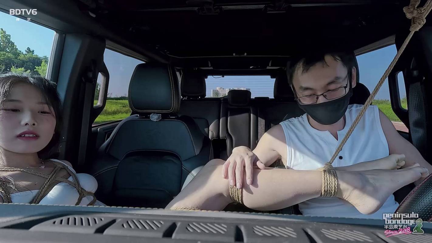 半岛束艺美术馆新作之如何扣完12分~缇娜！在线看！
