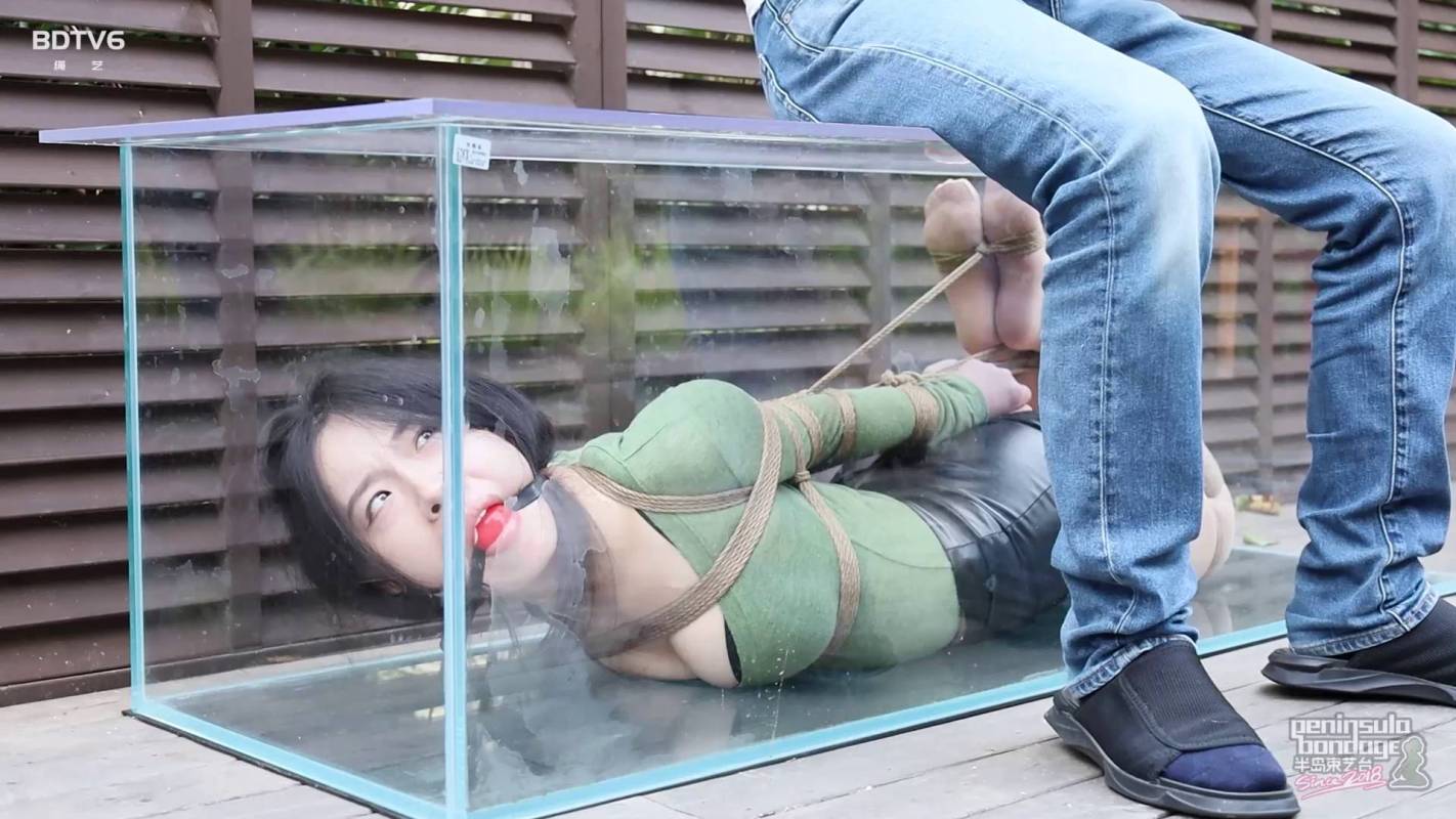 半岛束艺台视频观看新作之不干了，养鱼了~海语！在线看！
