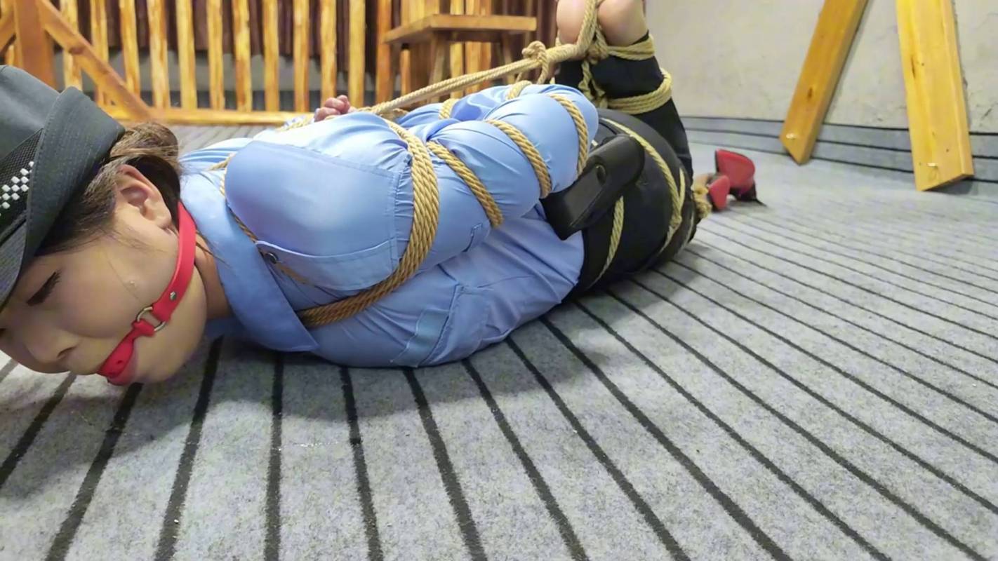 逍遥原创工作室官网新作之籹侦查员摩难（上）！在线看！