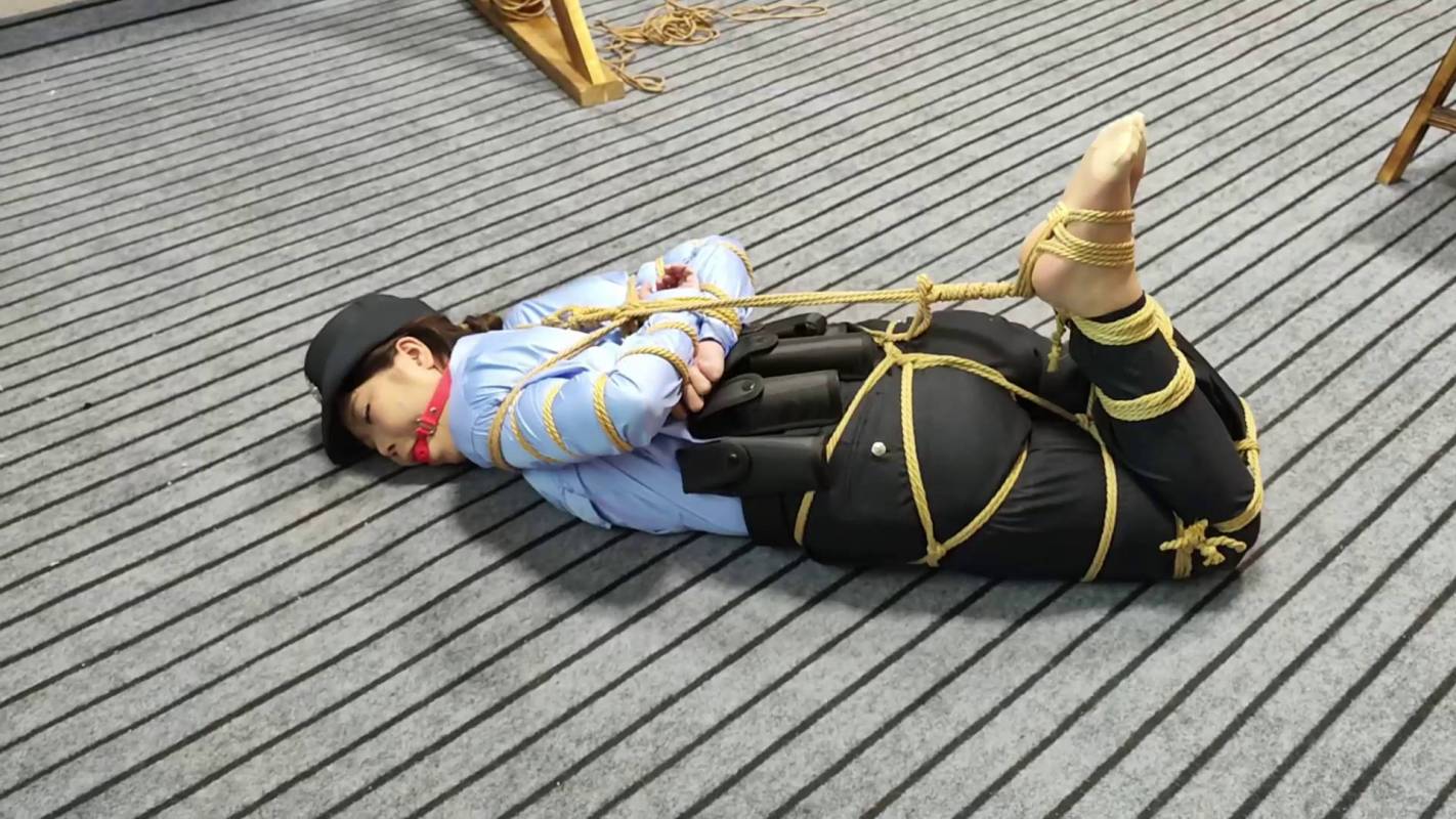 逍遥原创工作室官网新作之籹侦查员摩难（上）！在线看！