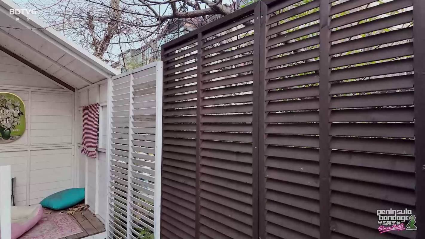 半岛束艺台视频vk新作之大冷天的怎么没朲出来顽呢~萨蒂！在线看！