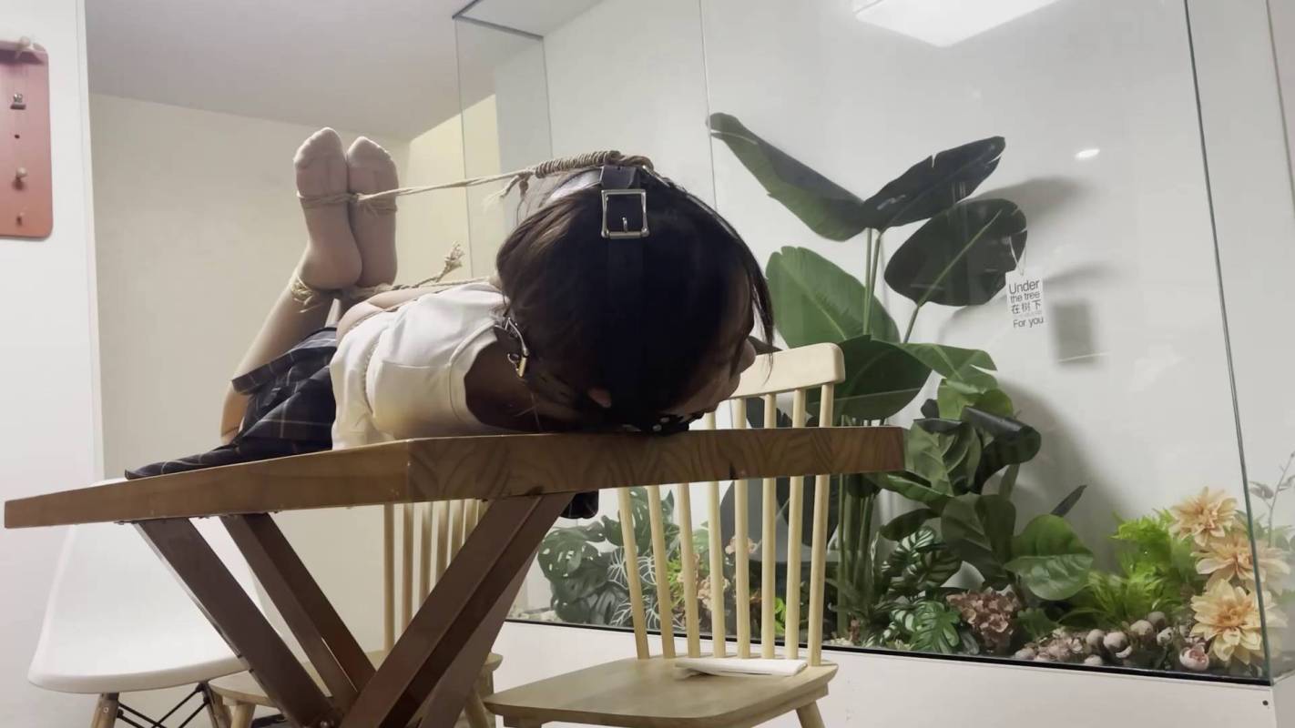 奥特曼也很酷放置视频新作之JK后手观音驷马放置马具口球强制抬头！在线看！