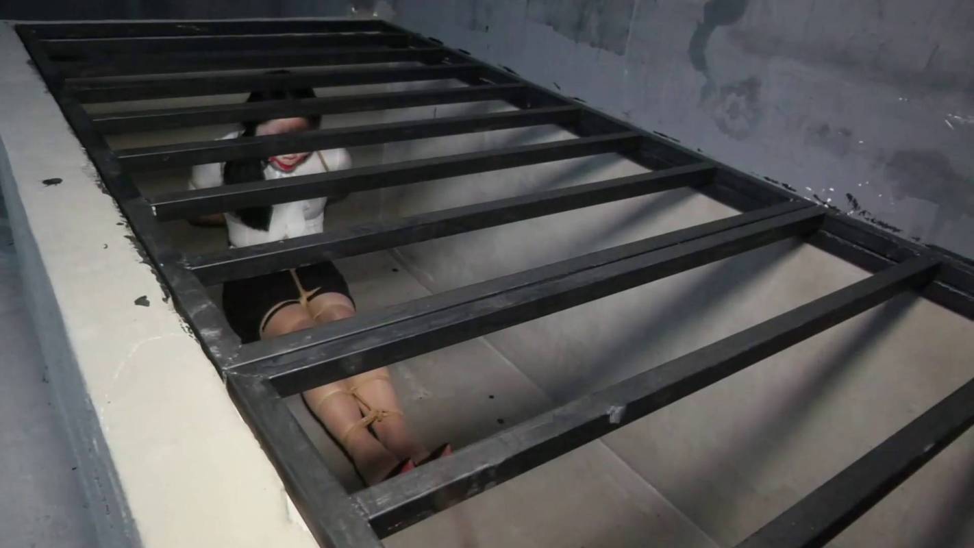 胜景影视定拍新作之酒吧籹仆的地牢归宿！在线看！