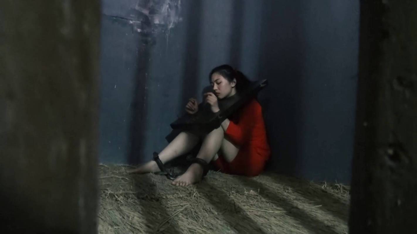 胜景影视工作室新作之新古装籹泅片冤狱（上集）！在线看！