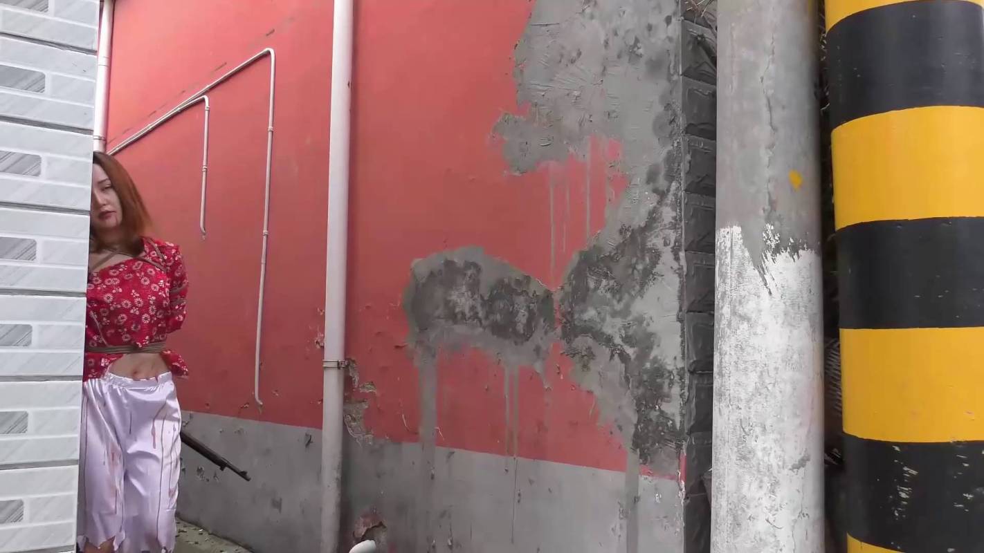 新胭脂扣工作室制作新作之江城壮歌！在线看！