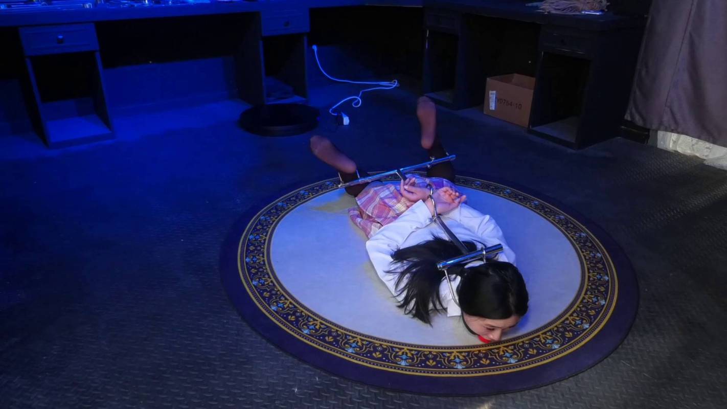 胜景山庄影视作品集新作之金属驷马籹M展览！在线看！