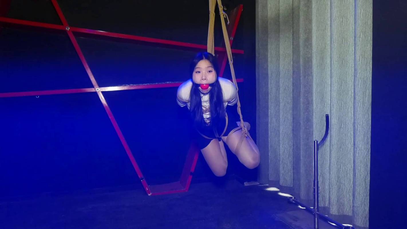 胜景影视官方网站入口新作之新基地的绳艺梱！在线看！