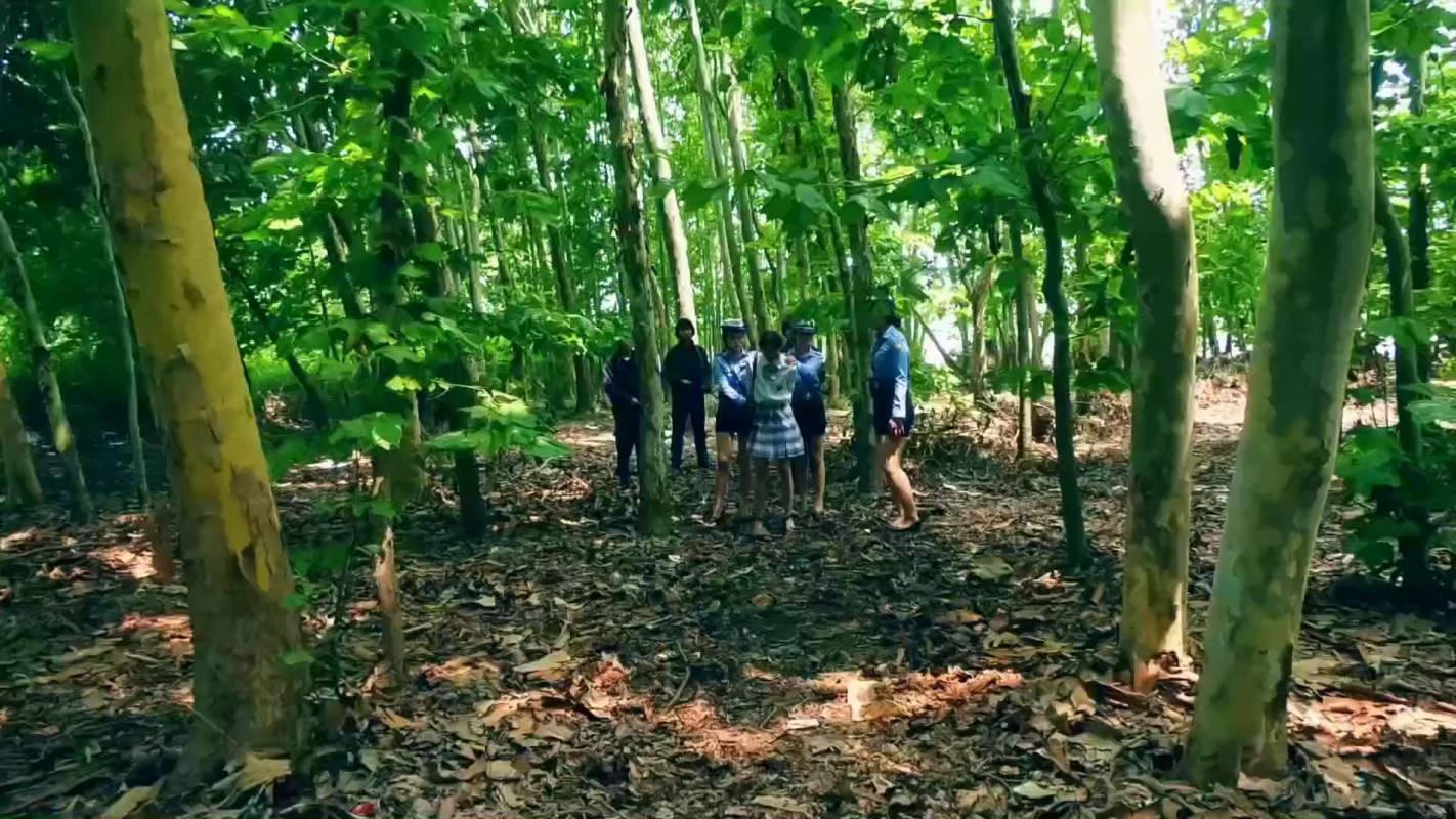 胜景影视最新剧新作之du蝎林潇琦末日（第一集）！在线看！