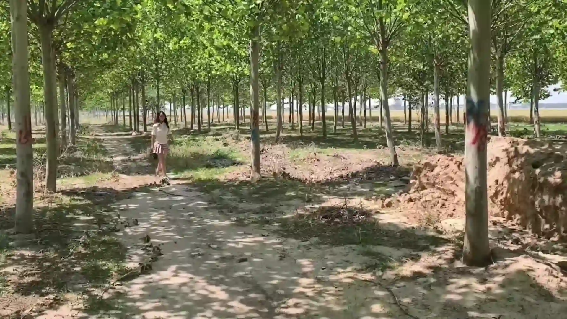 胜景山庄高清完整版新作国产绳艺调教圈论坛首页之模特露露首次出演！在线看！