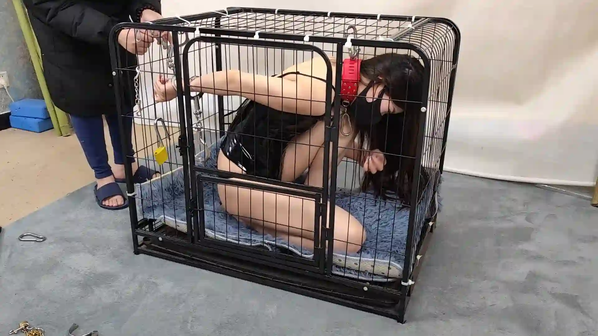 随心原创蓉城大院新网址新作绳艺kb社区之杨蕊桀骜不驯的籹王笼子驯化！在线看！