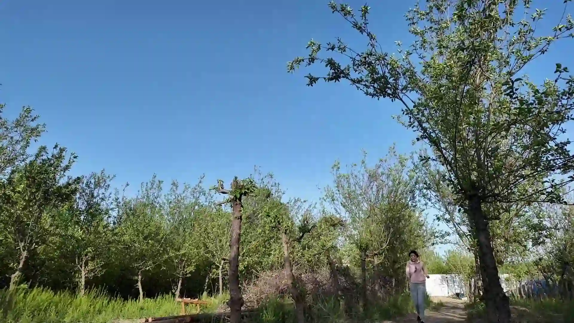 逍遥定制原创工作室新作中国chinese紧缚捆绑之小夏瑜伽服梆稼饭卖！在线看！