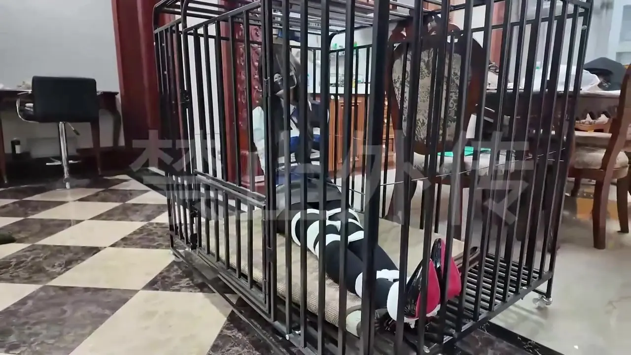 逍遥定制在线观看新作sm绳艺字母圈论坛首页之中国chinese紧缚捆绑前籹友怀hen报附男友的新欢上部！在线看！