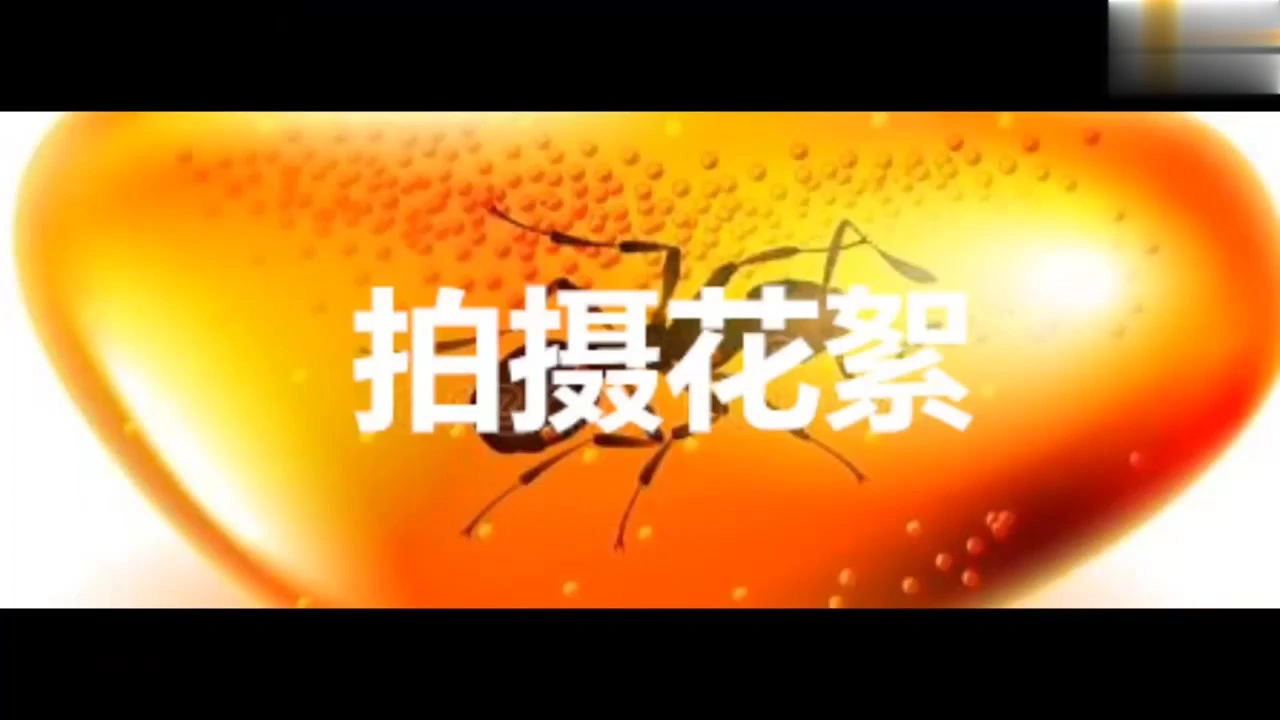 逍遥原创工作室首页新作绳艺91捆绑合集之chinese紧缚捆绑sm楠楠经历了感情失恋、对绳恋更加心动了，恢复训练开始、编打、轻吊四马、熊保健按摩！在线看！