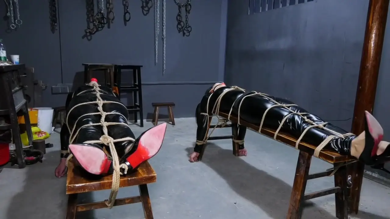 胜景山庄影视在线观看新作sm调教字母圈首页-绳艺之新chinese中国紧缚馅入摩窟的胶依特工！在线看！